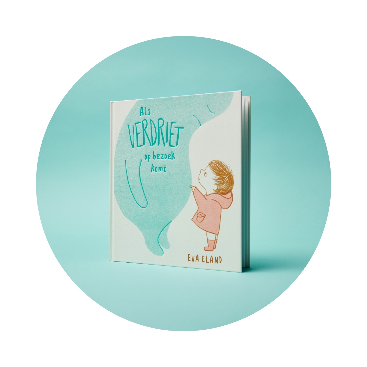 Kinderboek - Als verdriet op bezoek komt - Eva Eland